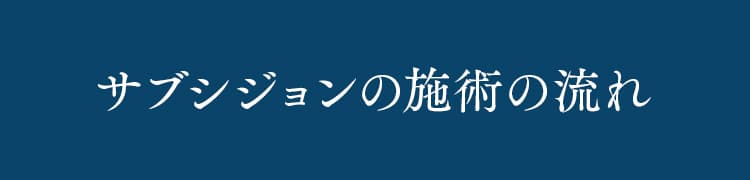 サブシジョンの流れ